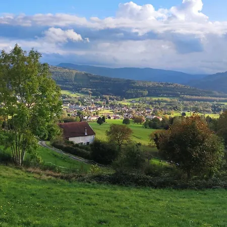 Vakantiehuis Maison Spacieuse Avec Spa, Nature & Calme Dans Les Vosges - Fr-1-589-757