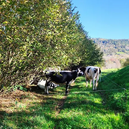Vakantiehuis Maison Spacieuse Avec Spa, Nature & Calme Dans Les Vosges - Fr-1-589-757 *