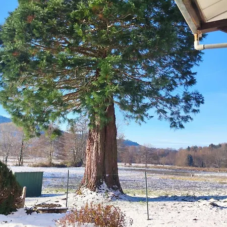 Maison Spacieuse Avec Spa, Nature & Calme Dans Les Vosges - Fr-1-589-757 Vakantiehuis *