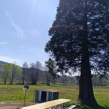 Maison Spacieuse Avec Et Terrain De Jeux En Lisiere De Foret - Fr-1-589-757 *
