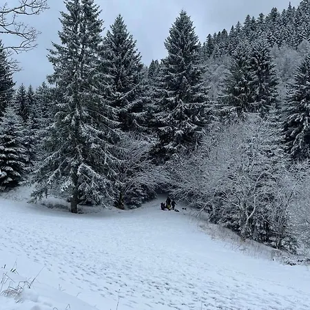 別荘 Maison Spacieuse Avec Et Terrain De Jeux En Lisiere De Foret - Fr-1-589-757