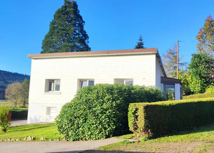 Maison Spacieuse Avec Et Terrain De Jeux En Lisiere De Foret - Fr-1-589-757 Fraize