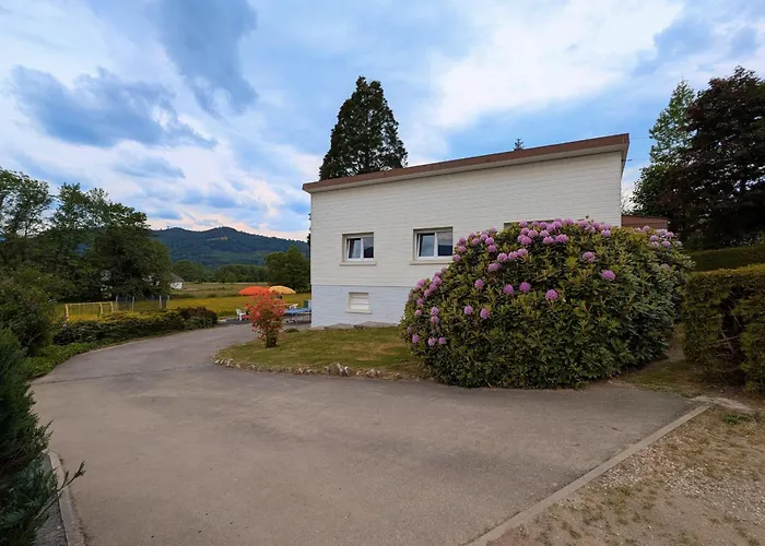 Prázdninový dům Maison Spacieuse Avec Et Terrain De Jeux En Lisiere De Foret - Fr-1-589-757 Fraize