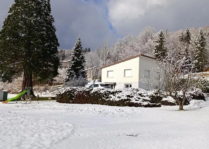 Prázdninový dům Maison Spacieuse Avec Et Terrain De Jeux En Lisiere De Foret - Fr-1-589-757 Fraize