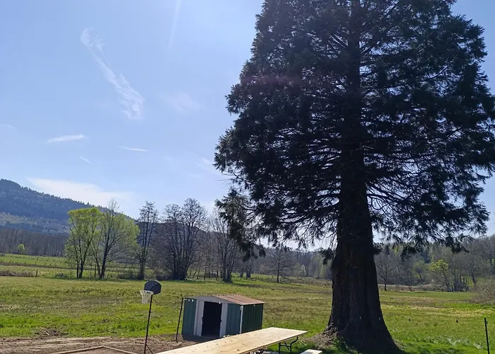 Maison Spacieuse Avec Et Terrain De Jeux En Lisiere De Foret - Fr-1-589-757 *